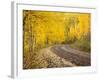 Uncompahgre National Forest, Colorado, USA-Don Grall-Framed Photographic Print