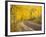 Uncompahgre National Forest, Colorado, USA-Don Grall-Framed Photographic Print