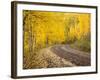 Uncompahgre National Forest, Colorado, USA-Don Grall-Framed Photographic Print