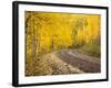 Uncompahgre National Forest, Colorado, USA-Don Grall-Framed Photographic Print