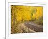 Uncompahgre National Forest, Colorado, USA-Don Grall-Framed Photographic Print