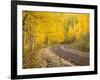 Uncompahgre National Forest, Colorado, USA-Don Grall-Framed Photographic Print