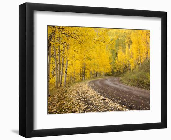 Uncompahgre National Forest, Colorado, USA-Don Grall-Framed Photographic Print