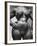 Undated Torso of Gaston Lachaise Sculpture "Standing Woman"-Andreas Feininger-Framed Photographic Print