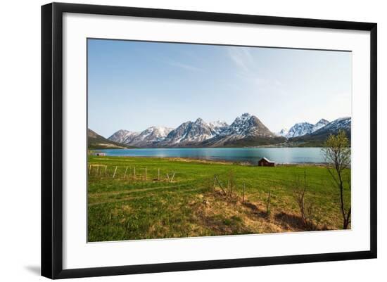 Premium Photographic Print, , large