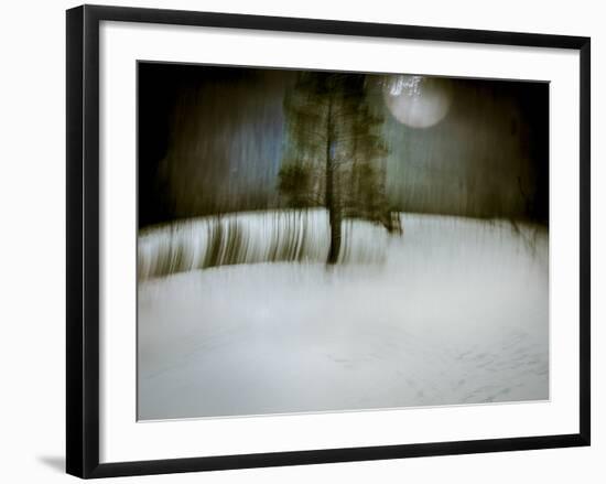 Under a Moonlit Sky-Valda Bailey-Framed Photographic Print