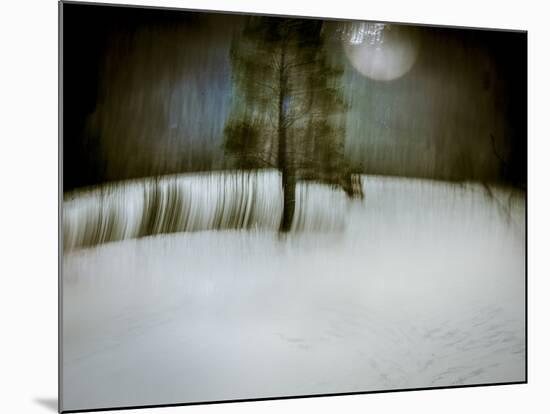 Under a Moonlit Sky-Valda Bailey-Mounted Photographic Print