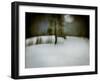 Under a Moonlit Sky-Valda Bailey-Framed Photographic Print