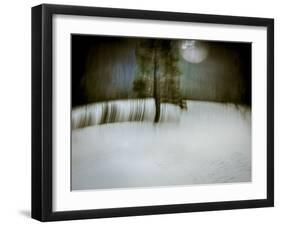 Under a Moonlit Sky-Valda Bailey-Framed Photographic Print