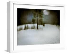 Under a Moonlit Sky-Valda Bailey-Framed Photographic Print