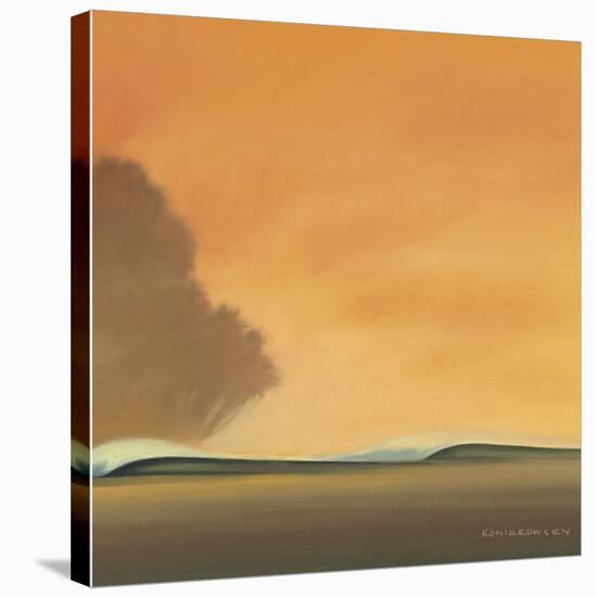 Under a Red Sky II-Wade Koniakowsky-Stretched Canvas