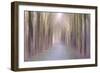 Under an Amethyst Sun-Jacob Berghoef-Framed Photographic Print