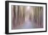 Under an Amethyst Sun-Jacob Berghoef-Framed Photographic Print