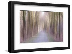 Under an Amethyst Sun-Jacob Berghoef-Framed Photographic Print