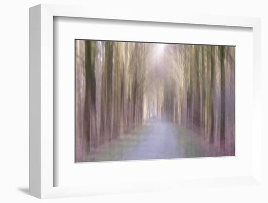 Under an Amethyst Sun-Jacob Berghoef-Framed Photographic Print