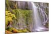 Under Lower Proxy Falls-Vincent James-Mounted Photographic Print