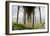 Under Oceanside Pier-Lee Peterson-Framed Photo