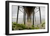 Under Oceanside Pier-Lee Peterson-Framed Photo