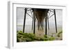 Under Oceanside Pier-Lee Peterson-Framed Photo