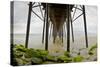 Under Oceanside Pier-Lee Peterson-Stretched Canvas