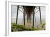 Under Oceanside Pier-Lee Peterson-Framed Photo