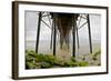 Under Oceanside Pier-Lee Peterson-Framed Photo