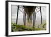 Under Oceanside Pier-Lee Peterson-Framed Photo