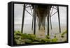 Under Oceanside Pier-Lee Peterson-Framed Stretched Canvas