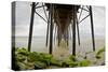 Under Oceanside Pier-Lee Peterson-Stretched Canvas