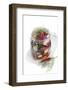 Under Oil-Fabio Petroni-Framed Photographic Print