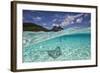 Under Over Underwater Shot Of A Stingray On White Sand, With Tourists Legs In The Bkgd Bora Bora-Karine Aigner-Framed Photographic Print