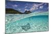 Under Over Underwater Shot Of A Stingray On White Sand, With Tourists Legs In The Bkgd Bora Bora-Karine Aigner-Mounted Photographic Print