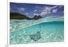 Under Over Underwater Shot Of A Stingray On White Sand, With Tourists Legs In The Bkgd Bora Bora-Karine Aigner-Framed Photographic Print