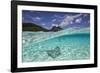 Under Over Underwater Shot Of A Stingray On White Sand, With Tourists Legs In The Bkgd Bora Bora-Karine Aigner-Framed Photographic Print