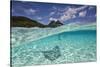 Under Over Underwater Shot Of A Stingray On White Sand, With Tourists Legs In The Bkgd Bora Bora-Karine Aigner-Stretched Canvas