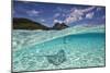Under Over Underwater Shot Of A Stingray On White Sand, With Tourists Legs In The Bkgd Bora Bora-Karine Aigner-Mounted Photographic Print