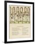 Under Rose Arches-Kate Greenaway-Framed Art Print