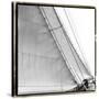 Under Sail I-Laura Denardo-Stretched Canvas