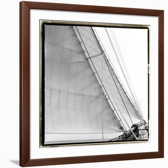 Under Sail I-Laura Denardo-Framed Photographic Print