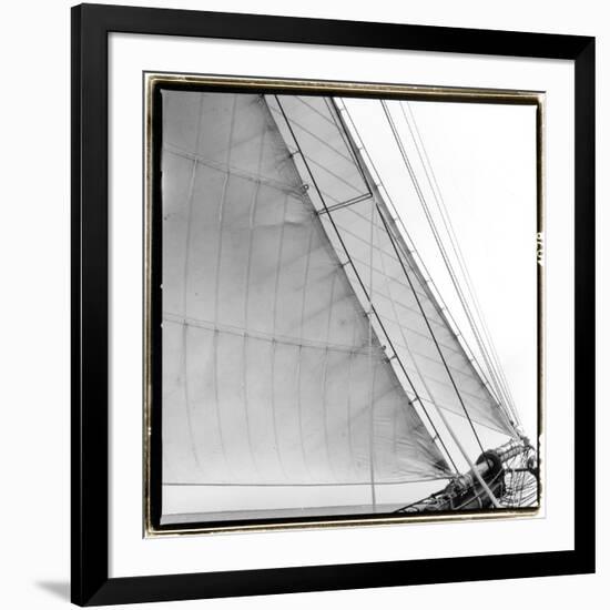 Under Sail I-Laura Denardo-Framed Photographic Print