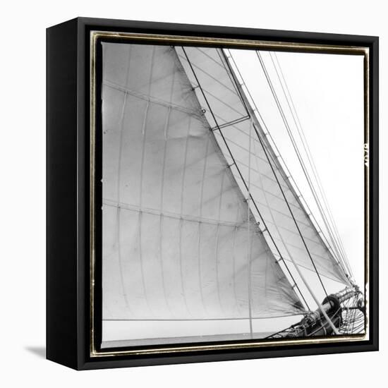 Under Sail I-Laura Denardo-Framed Stretched Canvas
