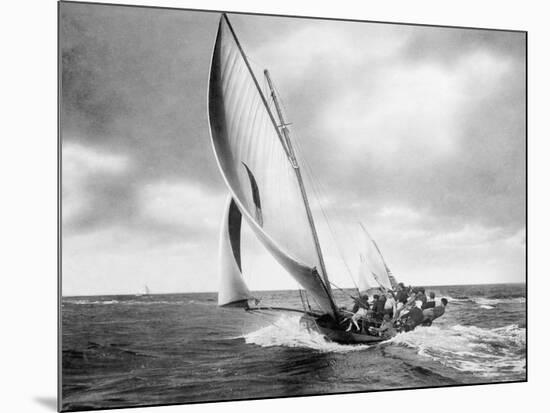 Under sail, Sydney Harbour-null-Mounted Art Print