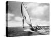 Under sail, Sydney Harbour-null-Stretched Canvas