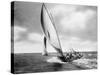 Under sail, Sydney Harbour-null-Stretched Canvas