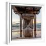 Under Scripps Pier-Danita Delimont-Framed Photo