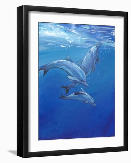 Under Sea Dolphins-Tim O'toole-Framed Art Print