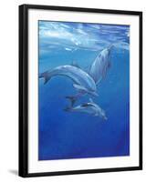 Under Sea Dolphins-Tim O'toole-Framed Art Print