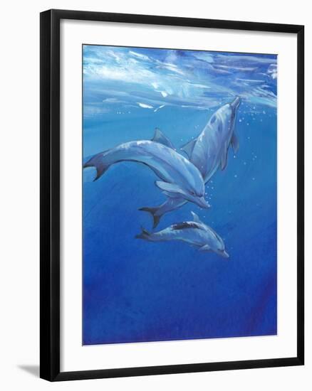 Under Sea Dolphins-Tim O'toole-Framed Art Print