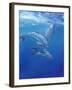 Under Sea Dolphins-Tim O'toole-Framed Art Print