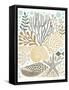 Under Sea Treasures VI Gold Neutral-Michael Mullan-Framed Stretched Canvas